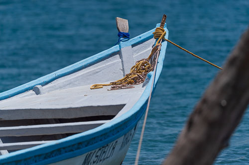 Bootsausflug auf den Lake Tanganyika 2023-11-01_12-00-20__D063296.jpg