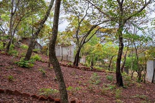 Zum Jubiläum wurde mit dem Bau eines "Bible on the ground" Gartens begonnen 2023-11-04_08-25-04__Z727116.jpg