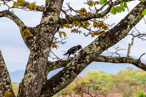 2023-11-04_08-26-45__D063384.jpg 2023-11-04_08-26-45__D063384.jpg