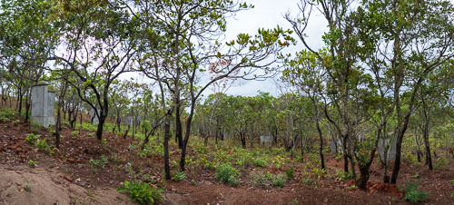 Zum Jubiläum wurde mit dem Bau eines "Bible on the ground" Gartens begonnen 2023-11-04_08-31-06__Z727119-Pano.jpg