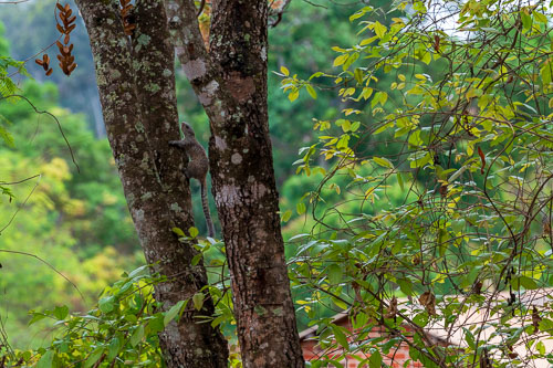 2023-11-04_08-41-11__D063389.jpg 2023-11-04_08-41-11__D063389.jpg