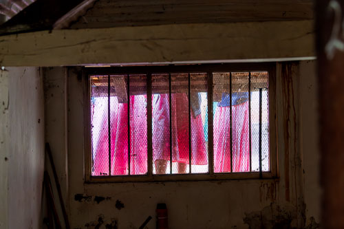 2023-11-04_09-26-13__D063399-Verbessert-RR_Ext-1251.jpg 2023-11-04_09-26-13__D063399-Verbessert-RR_Ext-1251.jpg