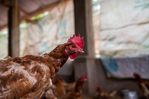 2023-11-04_09-34-26__Z727147.jpg 2023-11-04_09-34-26__Z727147.jpg