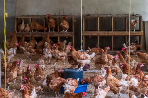 2023-11-04_09-34-46__D063402.jpg 2023-11-04_09-34-46__D063402.jpg