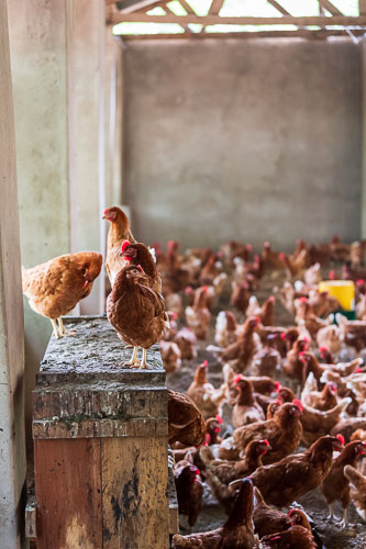 2023-11-04_09-37-27__D063404.jpg 2023-11-04_09-37-27__D063404.jpg