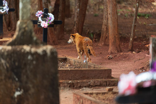 Klosterfriedhof 2023-11-04_10-27-11__D063417.jpg