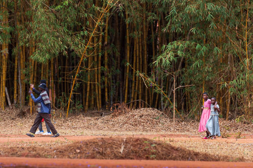 2023-11-05_09-45-56__D063439_Ext-1258.jpg 2023-11-05_09-45-56__D063439_Ext-1258.jpg