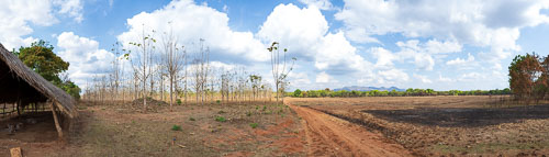 Landwitschaftlich genutztes Gelände der Abtei 2023-11-05_15-00-33__Z727202-Pano.jpg