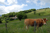 2007-05 Besuch in Le Bourget du Lac
