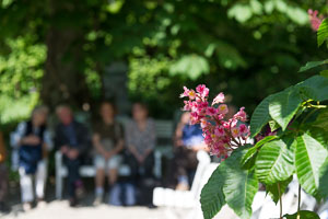 2018-05-04-06_Le_Bourget_en_Moos 2018-05-04-06_Le_Bourget_en_Moos