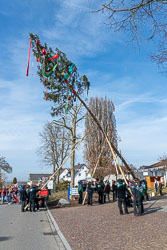 2020-02-15 Fasnet en Moos