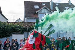 2020-02-15 Fasnet en Moos