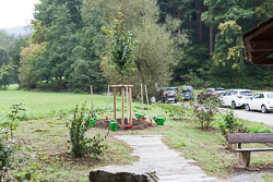 2021-10-08 LGA Friedenslinde 2021-10-08 LGA Friedenslinde