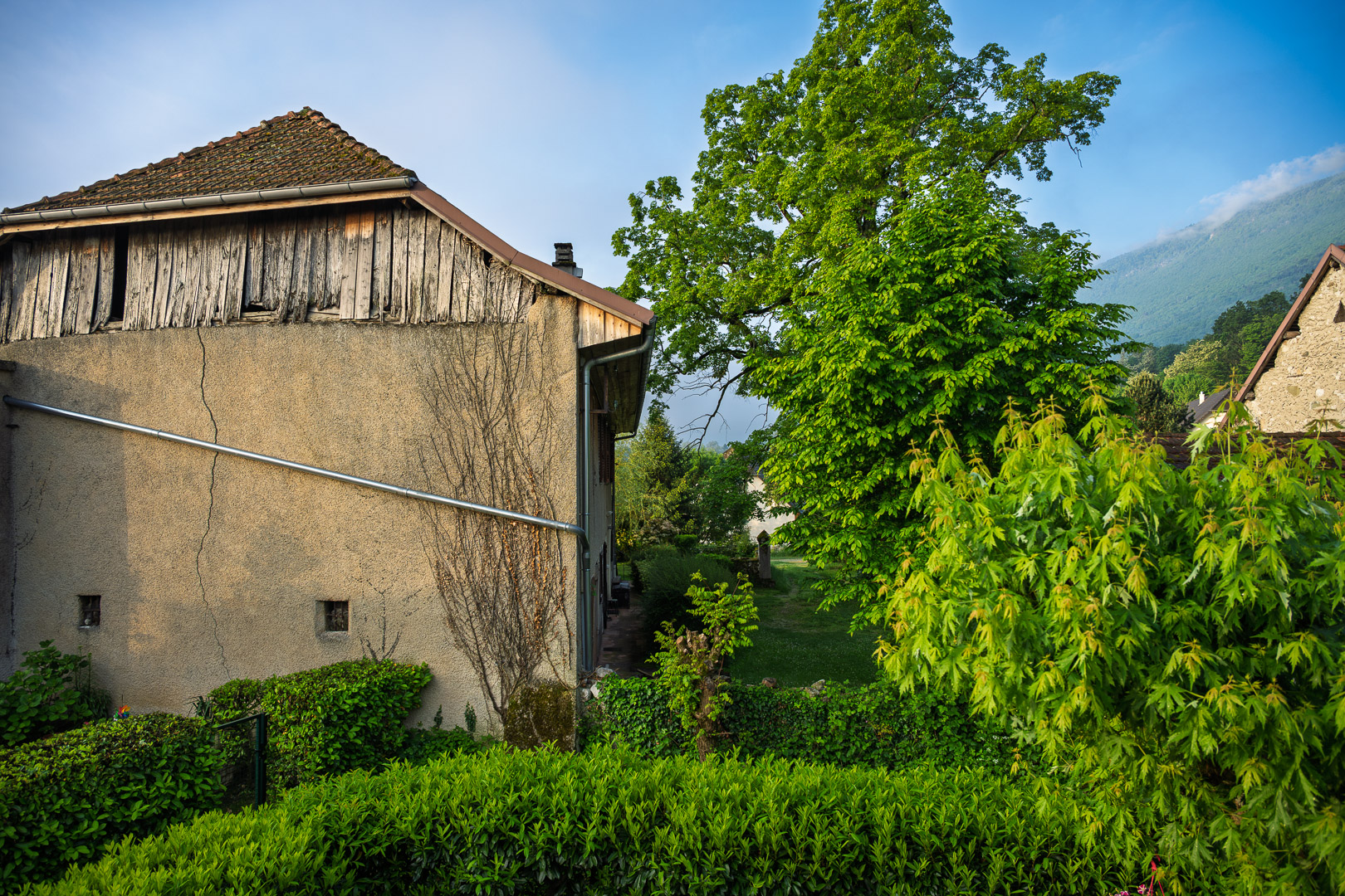 2025-05-10_07-25-13_Z728171-Verbessert-RR.jpg